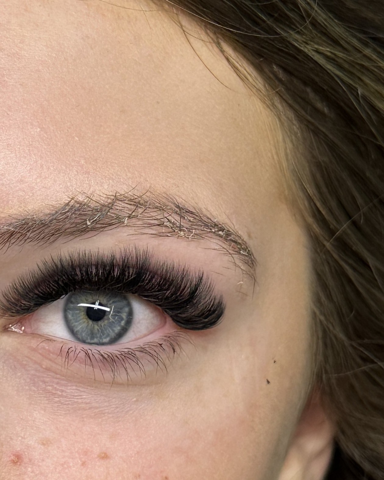 Volle wimper extensions, close-up van het oog